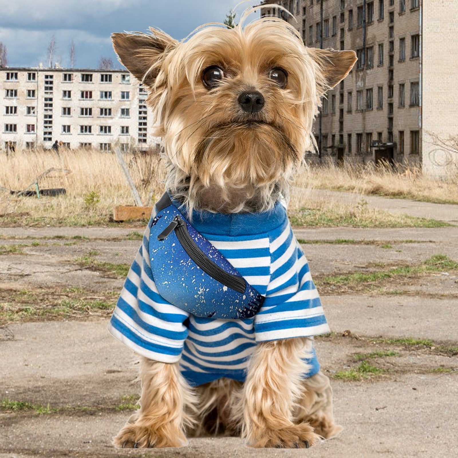 128e29740a7ead66c5b3a7f9a2498a65.jpg