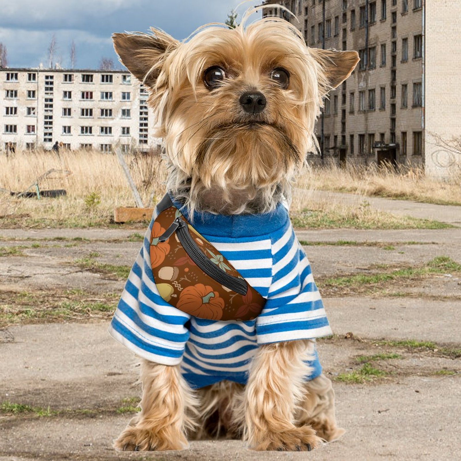 490bf1ebba6cb3ca319712b98a0e3f9a.jpg